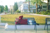 Mezuniyet sabah� ku�adas�